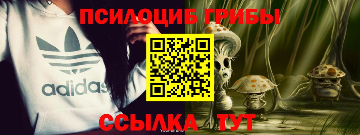 Галлюциногенные грибы мухоморы Мыски